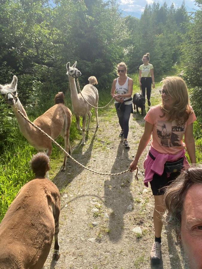 Naturidyll Brunner Kostendorf Kültér fotó