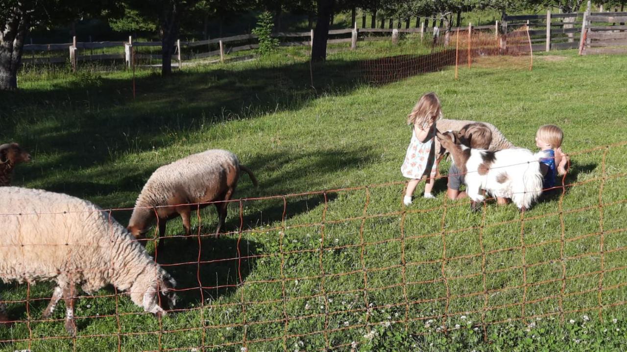 Naturidyll Brunner Kostendorf Kültér fotó